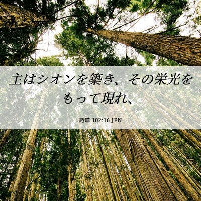 Picture 06 - 詩篇 102:16 JPN - 主はシオンを築き、その栄光をもっ - Bible Verse Picture