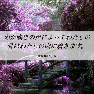 Picture 06 - 詩篇 102:5 JPN - わが嘆きの声によってわたしの骨は - Bible Verse Picture