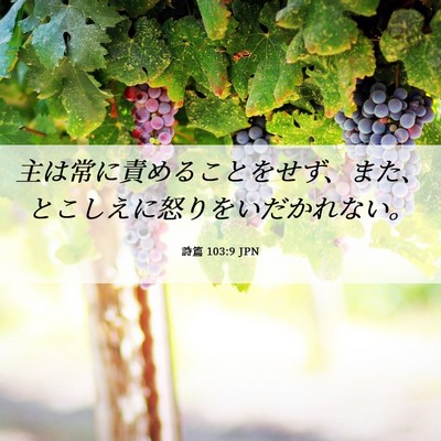 Picture 06 - 詩篇 103:9 JPN - 主は常に責めることをせず、また、 - Bible Verse Picture