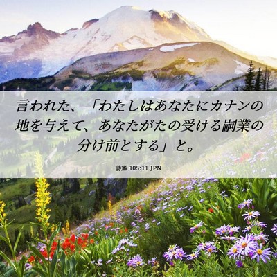 Picture 06 - 詩篇 105:11 JPN - 言われた、「わたしはあなたにカナ - Bible Verse Picture