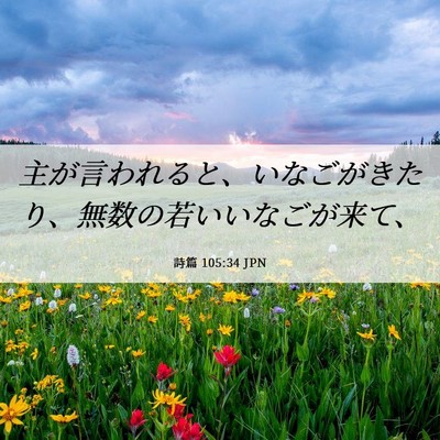Picture 06 - 詩篇 105:34 JPN - 主が言われると、いなごがきたり、 - Bible Verse Picture