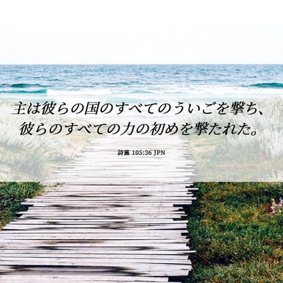 Picture 06 - 詩篇 105:36 JPN - 主は彼らの国のすべてのういごを撃 - Bible Verse Picture