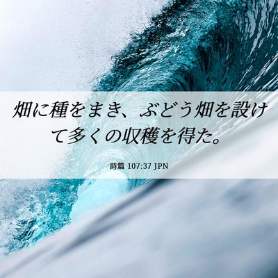 Picture 06 - 詩篇 107:37 JPN - 畑に種をまき、ぶどう畑を設けて多 - Bible Verse Picture