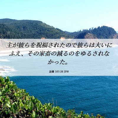 Picture 06 - 詩篇 107:38 JPN - 主が彼らを祝福されたので彼らは大 - Bible Verse Picture