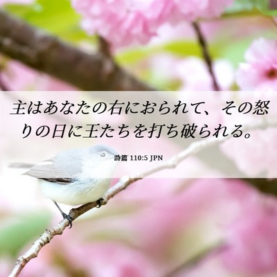 Picture 06 - 詩篇 110:5 JPN - 主はあなたの右におられて、その怒 - Bible Verse Picture