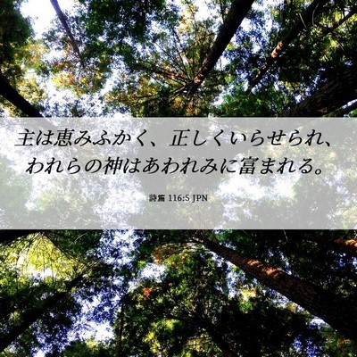 Picture 06 - 詩篇 116:5 JPN - 主は恵みふかく、正しくいらせられ - Bible Verse Picture