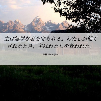 Picture 06 - 詩篇 116:6 JPN - 主は無学な者を守られる。わたしが - Bible Verse Picture