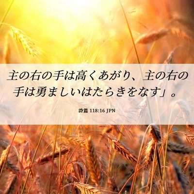 Picture 06 - 詩篇 118:16 JPN - 主の右の手は高くあがり、主の右の - Bible Verse Picture