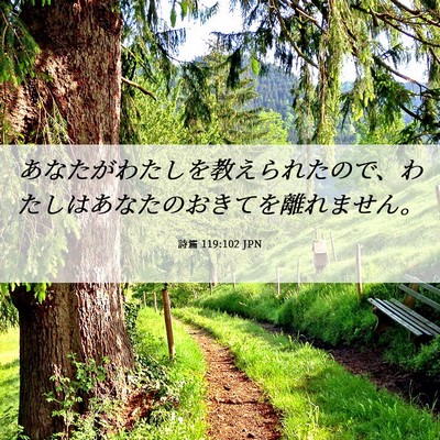 Picture 06 - 詩篇 119:102 JPN - あなたがわたしを教えられたので、 - Bible Verse Picture