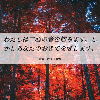 Picture 06 - 詩篇 119:113 JPN - わたしは二心の者を憎みます。しか - Bible Verse Picture