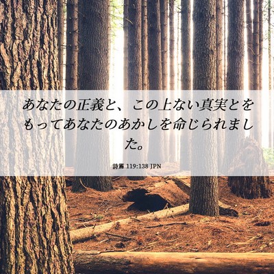 Picture 06 - 詩篇 119:138 JPN - あなたの正義と、この上ない真実と - Bible Verse Picture