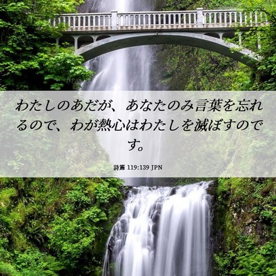 Picture 06 - 詩篇 119:139 JPN - わたしのあだが、あなたのみ言葉を - Bible Verse Picture