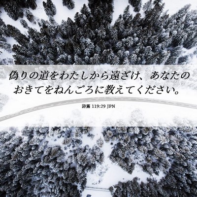 Picture 06 - 詩篇 119:29 JPN - 偽りの道をわたしから遠ざけ、あな - Bible Verse Picture