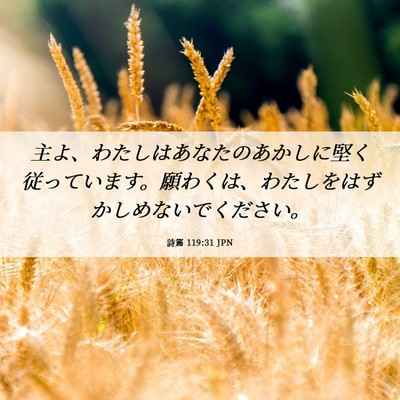 Picture 06 - 詩篇 119:31 JPN - 主よ、わたしはあなたのあかしに堅 - Bible Verse Picture