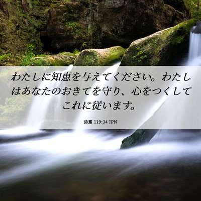 Picture 06 - 詩篇 119:34 JPN - わたしに知恵を与えてください。わ - Bible Verse Picture