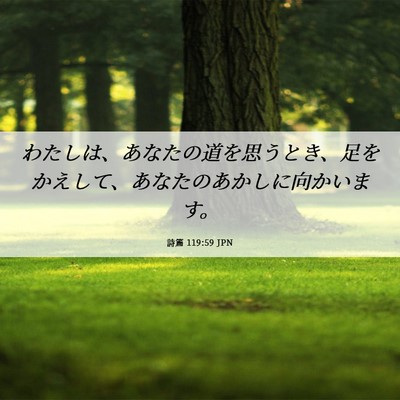 Picture 06 - 詩篇 119:59 JPN - わたしは、あなたの道を思うとき、 - Bible Verse Picture