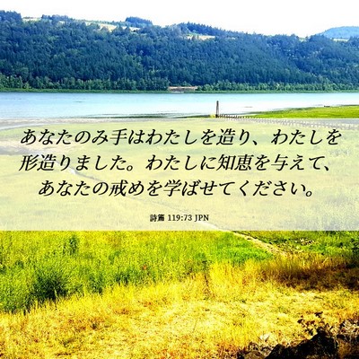 Picture 06 - 詩篇 119:73 JPN - あなたのみ手はわたしを造り、わた - Bible Verse Picture