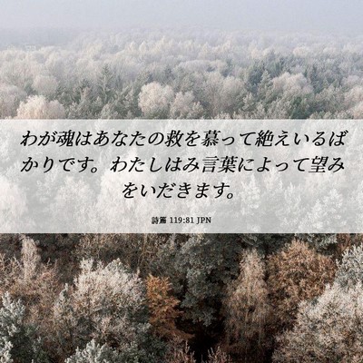 Picture 06 - 詩篇 119:81 JPN - わが魂はあなたの救を慕って絶えい - Bible Verse Picture