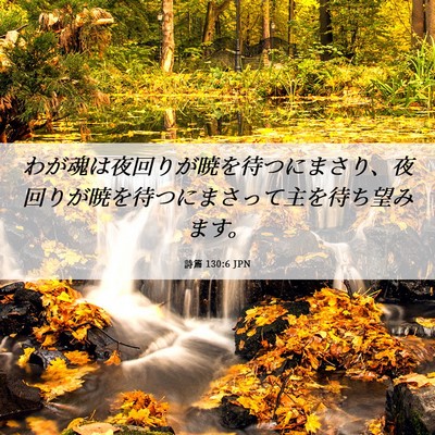 Picture 06 - 詩篇 130:6 JPN - わが魂は夜回りが暁を待つにまさり - Bible Verse Picture