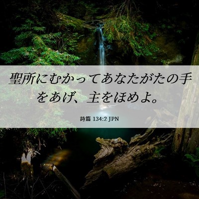 Picture 06 - 詩篇 134:2 JPN - 聖所にむかってあなたがたの手をあ - Bible Verse Picture