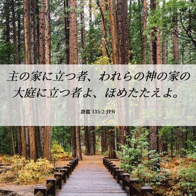 Picture 06 - 詩篇 135:2 JPN - 主の家に立つ者、われらの神の家の - Bible Verse Picture