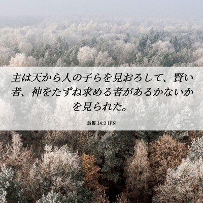 Picture 06 - 詩篇 14:2 JPN - 主は天から人の子らを見おろして、 - Bible Verse Picture
