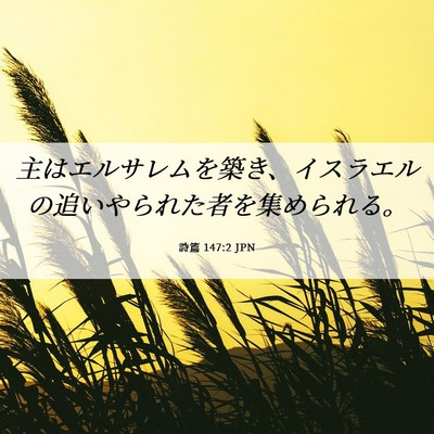 Picture 06 - 詩篇 147:2 JPN - 主はエルサレムを築き、イスラエル - Bible Verse Picture