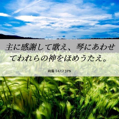 Picture 06 - 詩篇 147:7 JPN - 主に感謝して歌え、琴にあわせてわ - Bible Verse Picture