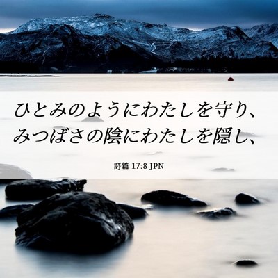 Picture 06 - 詩篇 17:8 JPN - ひとみのようにわたしを守り、みつ - Bible Verse Picture