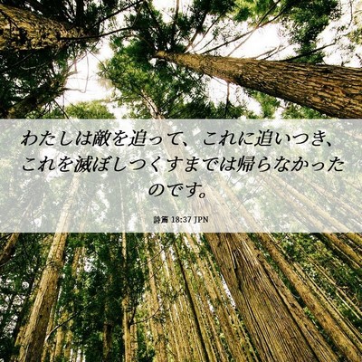 Picture 06 - 詩篇 18:37 JPN - わたしは敵を追って、これに追いつ - Bible Verse Picture