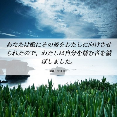 Picture 06 - 詩篇 18:40 JPN - あなたは敵にその後をわたしに向け - Bible Verse Picture