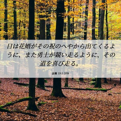 Picture 06 - 詩篇 19:5 JPN - 日は花婿がその祝のへやから出てく - Bible Verse Picture