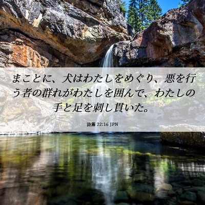 Picture 06 - 詩篇 22:16 JPN - まことに、犬はわたしをめぐり、悪 - Bible Verse Picture