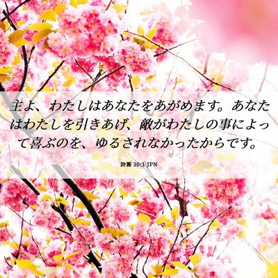 Picture 06 - 詩篇 30:1 JPN - 主よ、わたしはあなたをあがめます - Bible Verse Picture