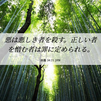 Picture 06 - 詩篇 34:21 JPN - 悪は悪しき者を殺す。正しい者を憎 - Bible Verse Picture