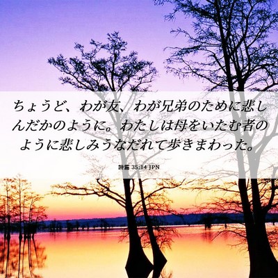 Picture 06 - 詩篇 35:14 JPN - ちょうど、わが友、わが兄弟のため - Bible Verse Picture