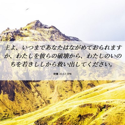 Picture 06 - 詩篇 35:17 JPN - 主よ、いつまであなたはながめてお - Bible Verse Picture