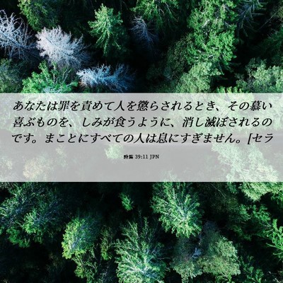 Picture 06 - 詩篇 39:11 JPN - あなたは罪を責めて人を懲らされる - Bible Verse Picture