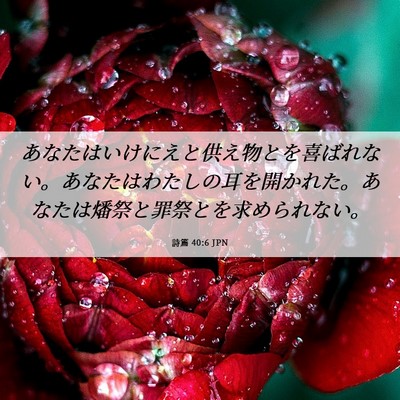 Picture 06 - 詩篇 40:6 JPN - あなたはいけにえと供え物とを喜ば - Bible Verse Picture