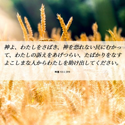 Picture 06 - 詩篇 43:1 JPN - 神よ、わたしをさばき、神を恐れな - Bible Verse Picture