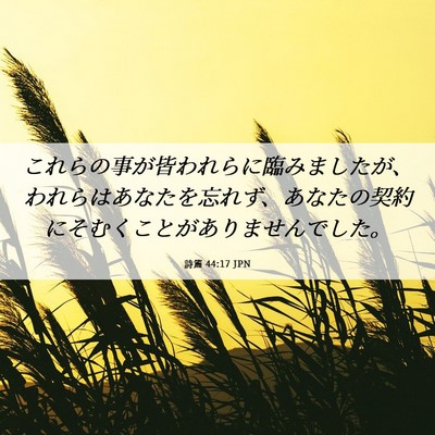 Picture 06 - 詩篇 44:17 JPN - これらの事が皆われらに臨みました - Bible Verse Picture