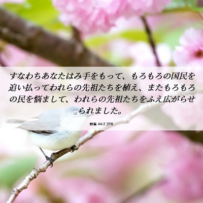 Picture 06 - 詩篇 44:2 JPN - すなわちあなたはみ手をもって、も - Bible Verse Picture