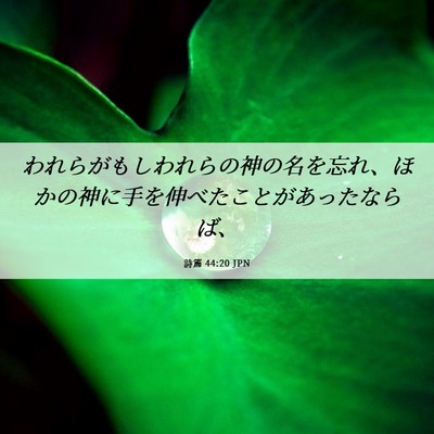 Picture 06 - 詩篇 44:20 JPN - われらがもしわれらの神の名を忘れ - Bible Verse Picture