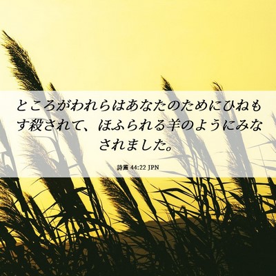 Picture 06 - 詩篇 44:22 JPN - ところがわれらはあなたのためにひ - Bible Verse Picture