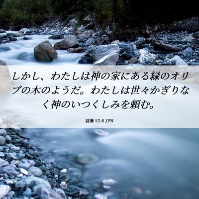 Picture 06 - 詩篇 52:8 JPN - しかし、わたしは神の家にある緑の - Bible Verse Picture