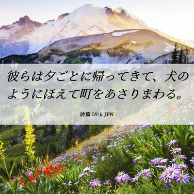 Picture 06 - 詩篇 59:6 JPN - 彼らは夕ごとに帰ってきて、犬のよ - Bible Verse Picture