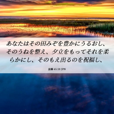 Picture 06 - 詩篇 65:10 JPN - あなたはその田みぞを豊かにうるお - Bible Verse Picture