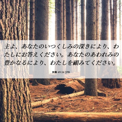 Picture 06 - 詩篇 69:16 JPN - 主よ、あなたのいつくしみの深きに - Bible Verse Picture