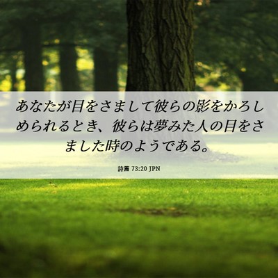Picture 06 - 詩篇 73:20 JPN - あなたが目をさまして彼らの影をか - Bible Verse Picture