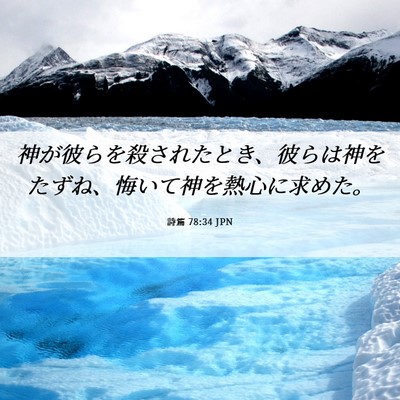 Picture 06 - 詩篇 78:34 JPN - 神が彼らを殺されたとき、彼らは神 - Bible Verse Picture